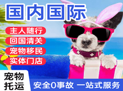 东营胜利机场快递国际宠物托运 【国